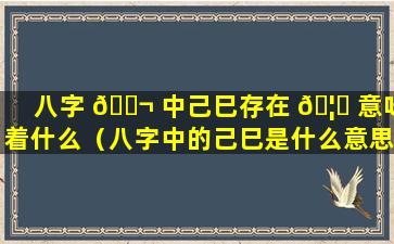 八字 🐬 中己巳存在 🦅 意味着什么（八字中的己巳是什么意思）